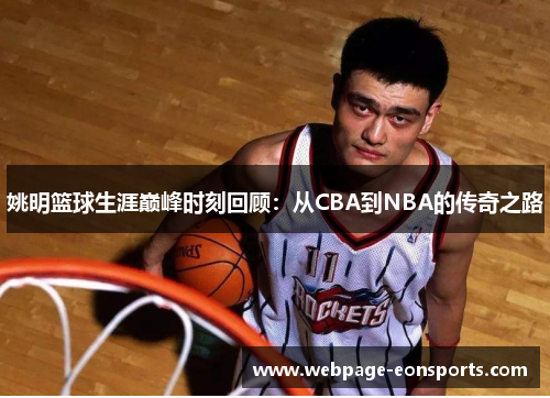 姚明篮球生涯巅峰时刻回顾：从CBA到NBA的传奇之路