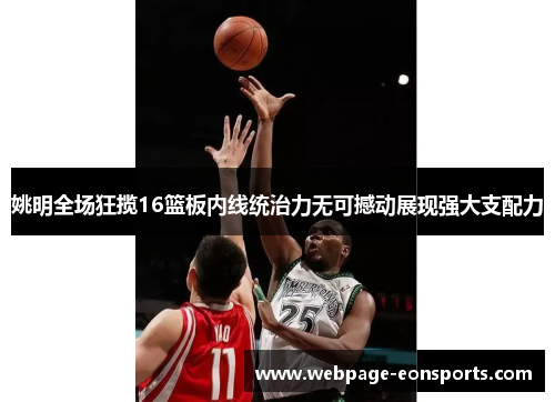 姚明全场狂揽16篮板内线统治力无可撼动展现强大支配力