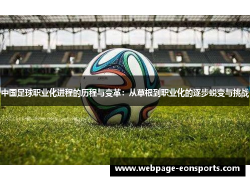 中国足球职业化进程的历程与变革：从草根到职业化的逐步蜕变与挑战