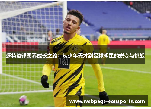 多特边锋桑乔成长之路：从少年天才到足球明星的蜕变与挑战