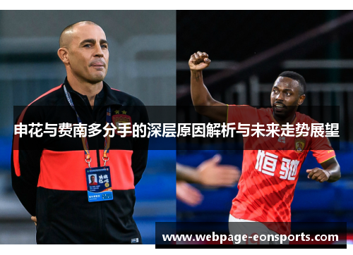 申花与费南多分手的深层原因解析与未来走势展望