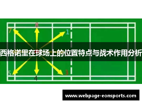 西格诺里在球场上的位置特点与战术作用分析